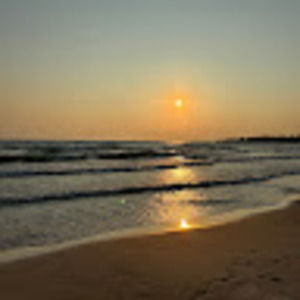 Meet your Posher, Rosemary